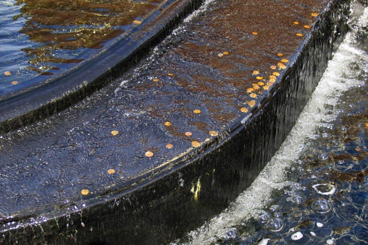 water flowing over coins in a fountain