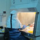 Viral Special Pathogens Laboratory