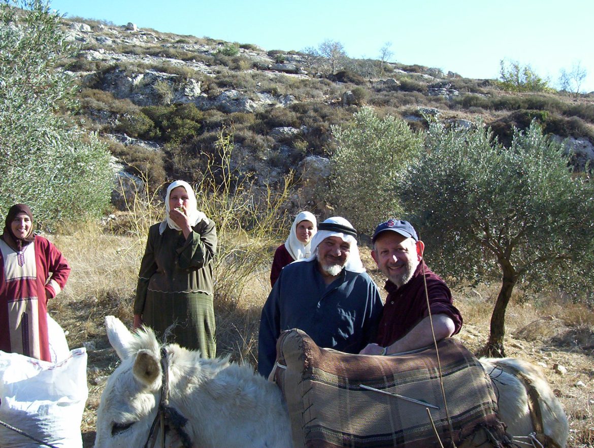 Image of the author, Rabbi Gerry Serotta, participating with West Bank Palestinians in the fall olive harvest near Nablus in a program coordinated by Rabbis for Human Rights.