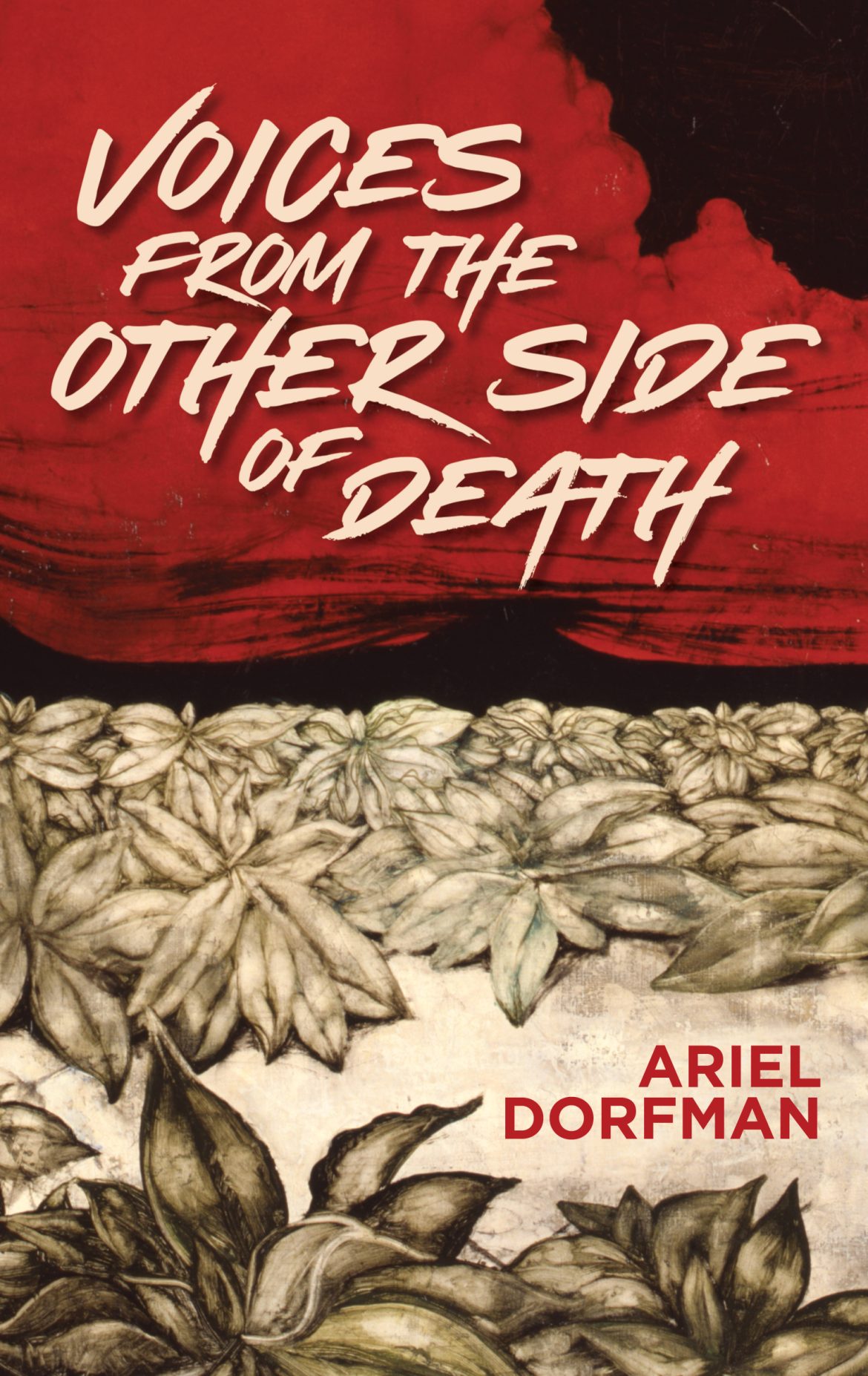 Book Cover - Voices from the Other Side of Death